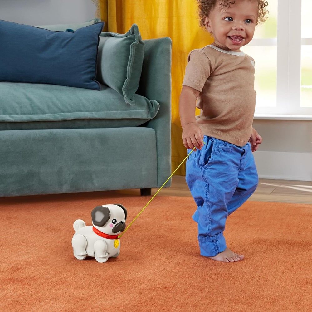 Caminha com o Cãozinho