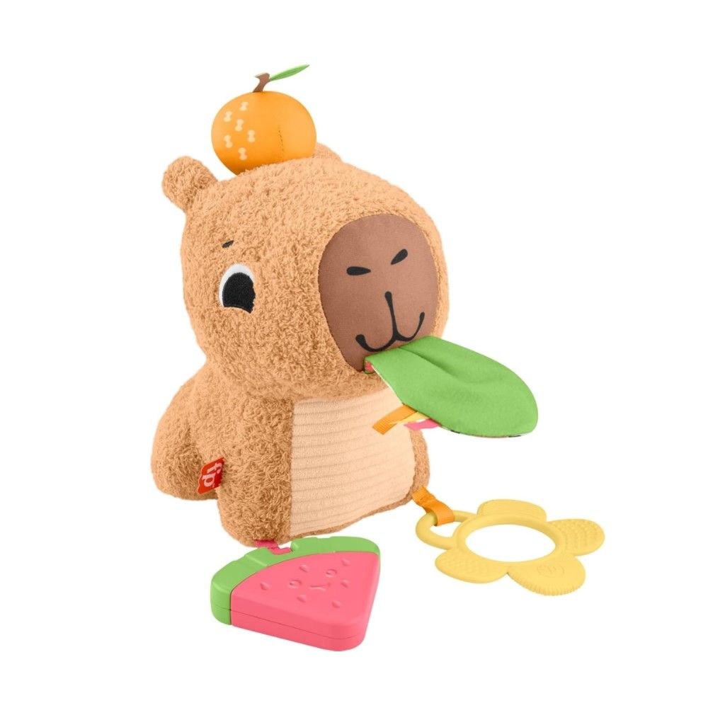 Capivara Fofinha