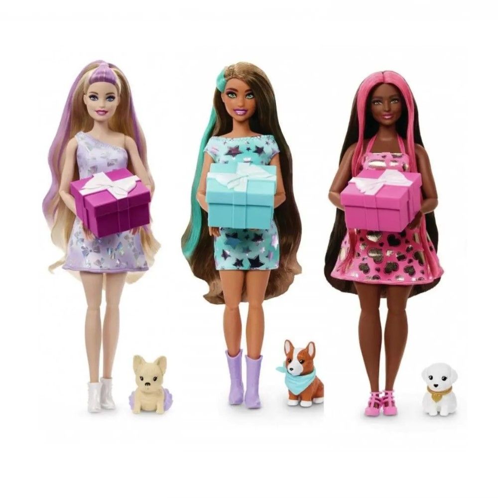 Sortido Festa Surpresa da Barbie