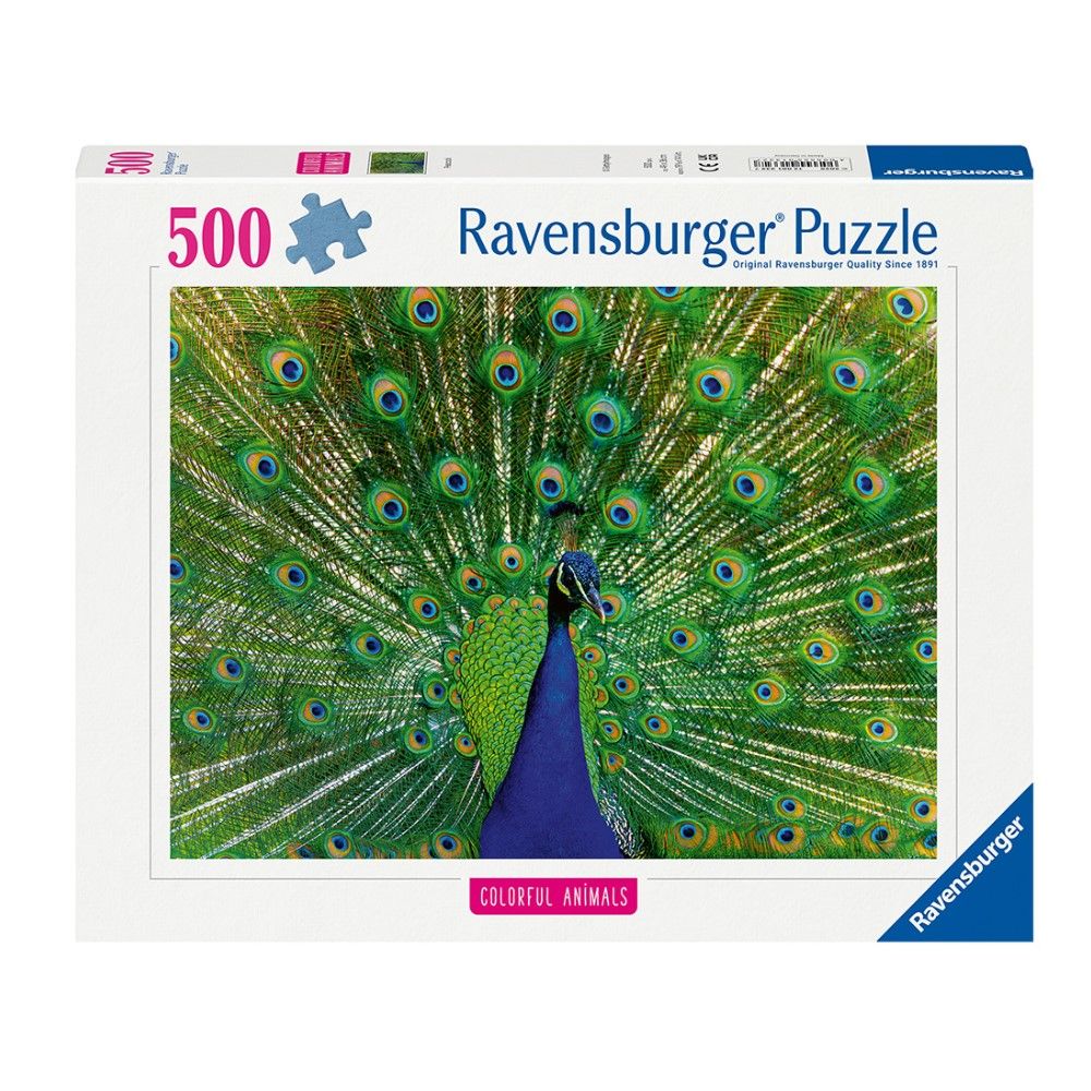 Pzl 500 - Pavão real