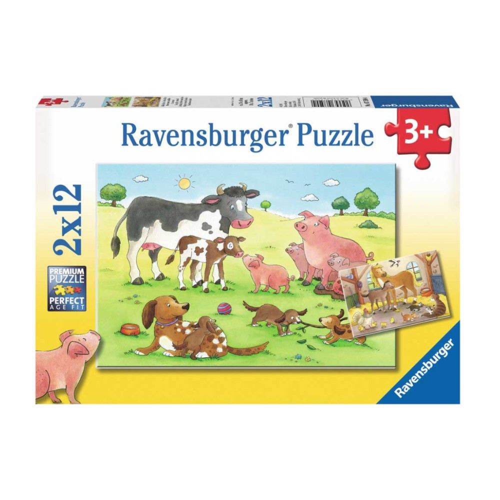 Pzl 2x12 - Familias de Animais