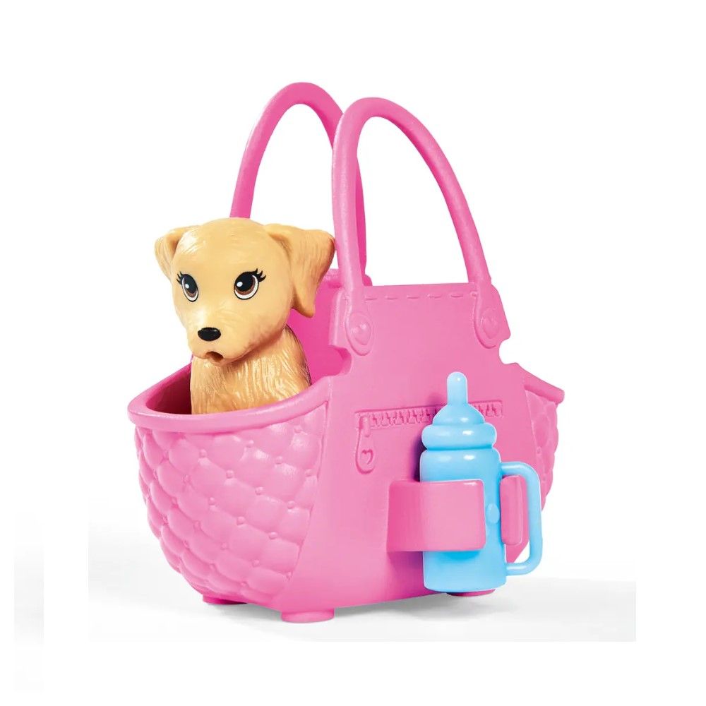 Steffi passeia os seus Cachorros
